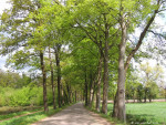 Hertmerweg